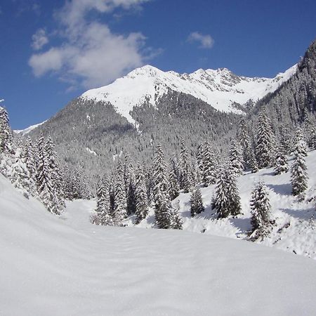 Gallfallalm Santa Maddalena in Casies Valbassa 外观 照片