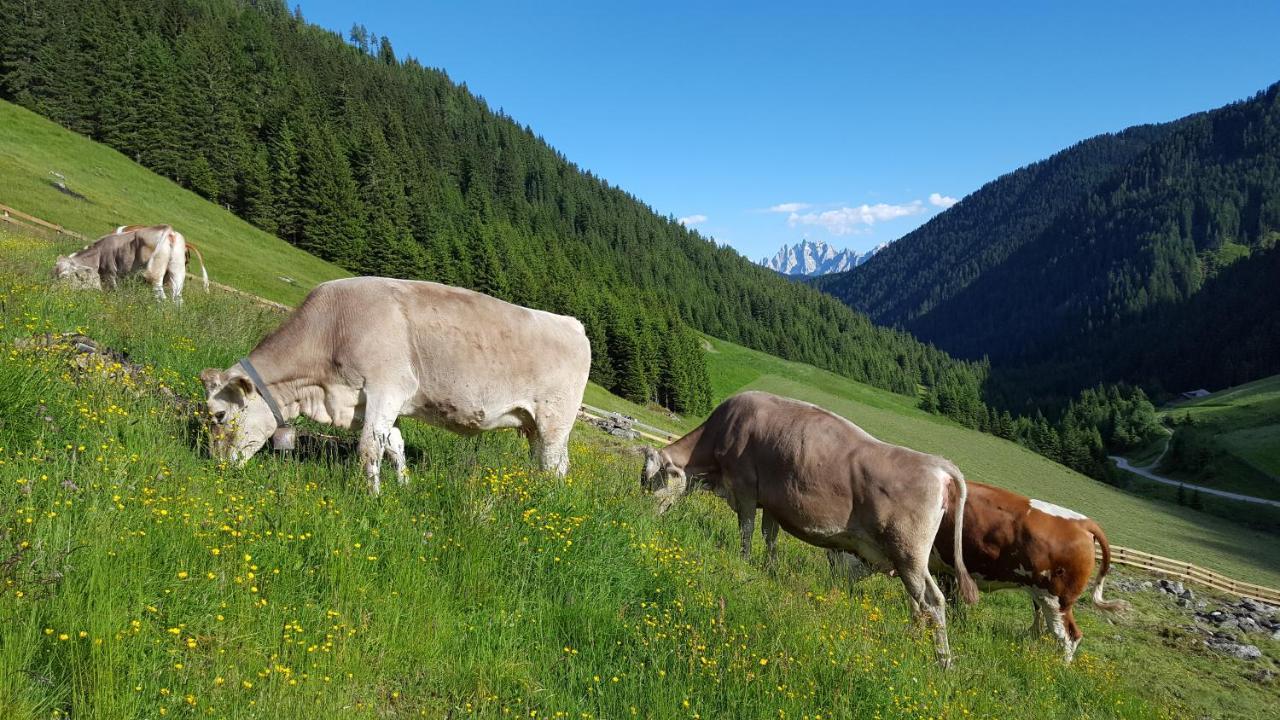 Gallfallalm Santa Maddalena in Casies Valbassa 外观 照片