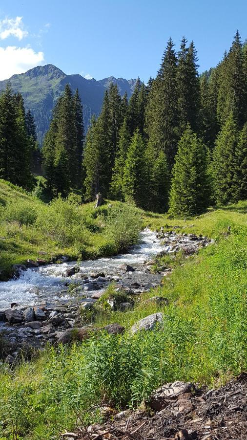 Gallfallalm Santa Maddalena in Casies Valbassa 外观 照片