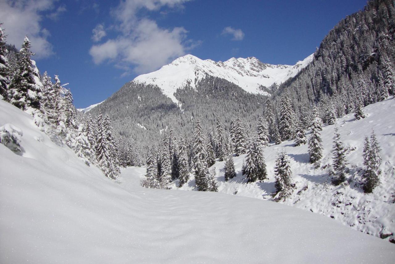 Gallfallalm Santa Maddalena in Casies Valbassa 外观 照片