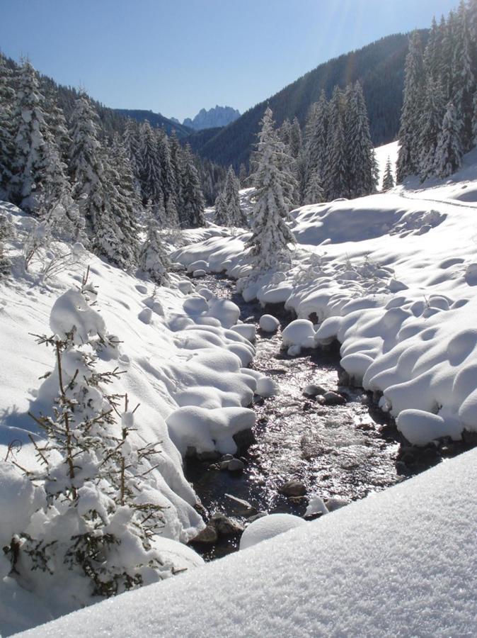 Gallfallalm Santa Maddalena in Casies Valbassa 外观 照片
